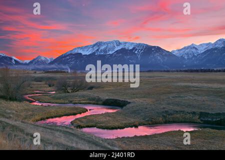 Perleys Creek, Wallowa Valley, Oregon Stockfoto