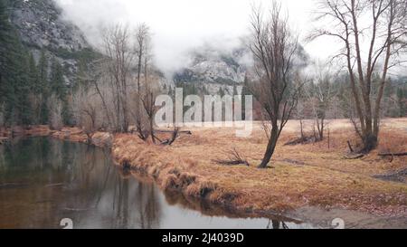 Fluss fließt im Herbstwald, Yosemite Valley Wiese, kalifornische Wildnis, USA Natur. Ruhige Oberfläche des Wasserstroms oder Baches, nebliges Herbstwetter, neblige, regnerische Berge. Nahtloser Cinemagraph mit Schleife Stockfoto