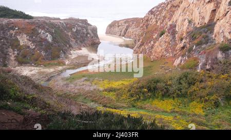 Fluss- oder Bachmündung in Canyon, Meeresstrand und Flusslauf, Bergklippen oder steile Klippe. Grüne Wiese mit Blumen, Talwildblumen in Schlucht. Kalifornische Küste, Big Sur Landschaft, USA Stockfoto