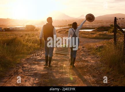 Die Geschichte der Familienwirtschaft unterstreicht das Erbe der Nachhaltigkeit. Aufnahme von zwei Bauern, die eine Kiste tragen und während des Sonnenuntergangs auf einer Farm spazieren gehen. Stockfoto