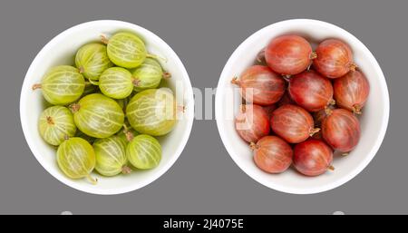 Grüne und rote Stachelbeeren, in weißen Schalen, über grau. Frische Beeren, Früchte der Familie Ribes, auch als europäische Stachelbeere bekannt. Stockfoto