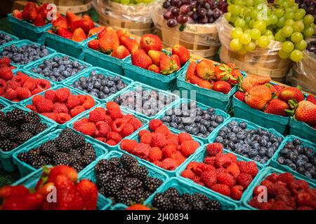Farbenfrohe, frische Früchte werden auf dem Bird-in-Hand Farmers Market in Lancaster County, Pennsylvania, bei den Produkten von Riehl ausgestellt. (USA) Stockfoto
