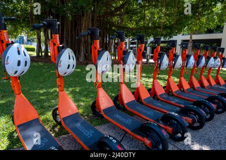 Motorroller zum Verleih in Mitchell Street Darwin Northern Territory, Australien Stockfoto