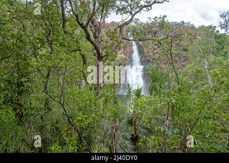 Wangi Falls, Litchfield Nationalpark, Northern Territory, Australien Stockfoto