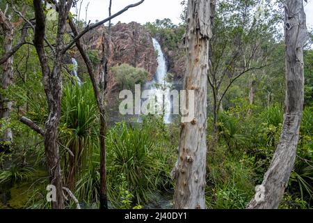 Wangi Falls, Litchfield Nationalpark, Northern Territory, Australien Stockfoto