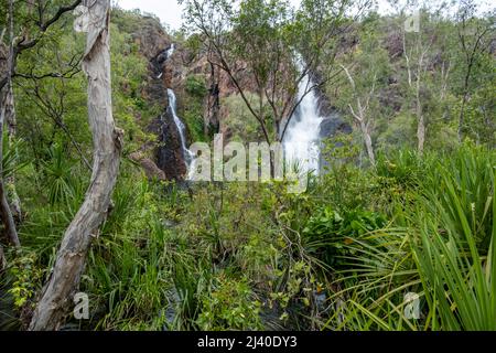 Wangi Falls, Litchfield Nationalpark, Northern Territory, Australien Stockfoto