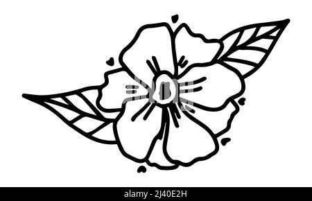 Schwarze blühende Doodle-Blume mit Blättern, die von Hand mit Liner gezeichnet wurden. Einfaches Skizzenelement im Frühling oder Sommer Stock Vektor