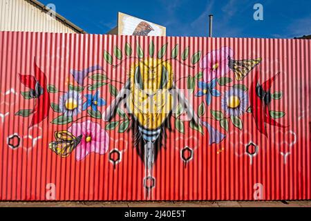 Wandgemälde an einer Wand im Zentrum von Alice Springs, Northern Territory, Australien. Stockfoto