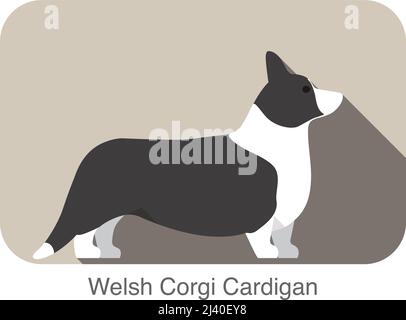 Welsh Corgi Cardigan stehen auf dem Boden Hund Rasse Serie Stock Vektor