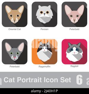 Katze Rasse Gesicht Cartoon flache Icon-design Stock Vektor