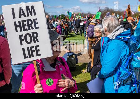 Extinction Rebellion Protestierende startenden in London ab dem 9. April 2022 eine Phase ziviler Störungen. Ältere Hündin mit Plakat. Hier fürs Leben Stockfoto