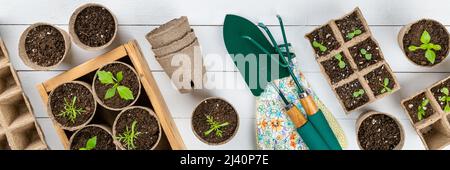 Topfblüten, die in biologisch abbaubaren Torfmoos-Töpfen auf weißem Holzhintergrund wachsen. Zero Waste, Recycling, plastikfrei, Gartenkonzept. Bis Stockfoto