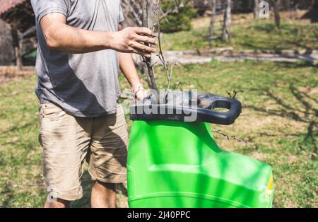 Mann, der Baumzweige in den Gartenschredder legt. Stockfoto