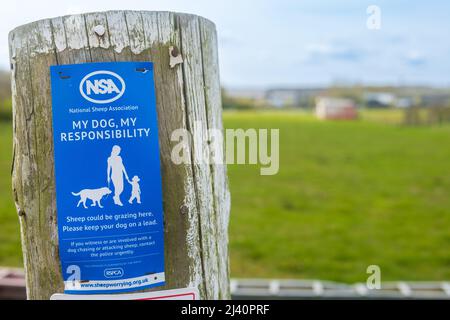 Die National Sheep Association (NSA) unterzeichnet einen Zaunposten, in dem Hundebesitzer die Verantwortung für ihre Hunde übernehmen, um sicherzustellen, dass keine Tierschäden verursacht werden. Stockfoto