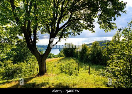 Panoramablick auf den See Jezioro Ostrzyckie mit Waldufer vom Jastrzebia Gora Hawk Mountain in Ostrzyce Dorf Kaschubia in Pommern r Stockfoto