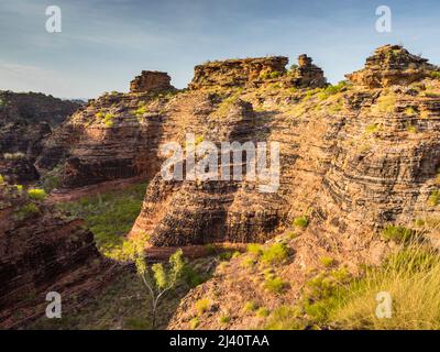 Zerklüfteter Quarzsandstein und konglomerat karstige Aufschlüsse im Mirima National Park, East Kimberley Stockfoto