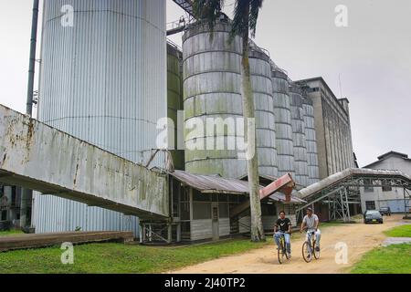 Surinam, Silo einer Reismühle im Stadtteil Nickerie. Stockfoto