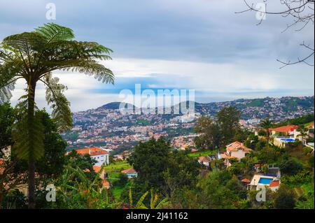 Blick über die Stadt Funchal von den Monte Palace Gardens in Madeira, Portugal Stockfoto