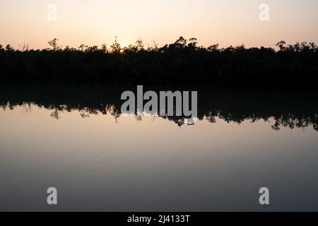Bangladesch, Sundarban, 2021-10-29. Berichten Sie an Bord von Rubayath und Elisabeths Boot auf den Sundarbans, einer Region aus unzähligen Waffen und Kanälen Stockfoto