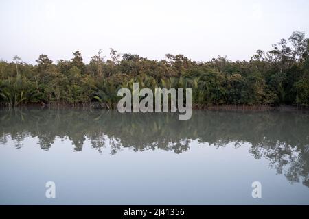 Bangladesch, Sundarban, 2021-10-29. Berichten Sie an Bord von Rubayath und Elisabeths Boot auf den Sundarbans, einer Region aus unzähligen Waffen und Kanälen Stockfoto
