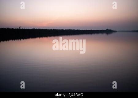 Bangladesch, Sundarban, 2021-10-29. Berichten Sie an Bord von Rubayath und Elisabeths Boot auf den Sundarbans, einer Region aus unzähligen Waffen und Kanälen Stockfoto
