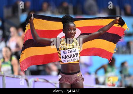 Halimah Nakaayi mit der ugandischen Flagge bei den Hallen-Weltmeisterschaften 2022 in Belgrad. Stockfoto