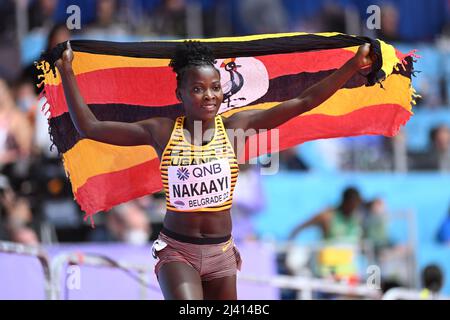 Halimah Nakaayi mit der ugandischen Flagge bei den Hallen-Weltmeisterschaften 2022 in Belgrad. Stockfoto