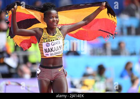 Halimah Nakaayi mit der ugandischen Flagge bei den Hallen-Weltmeisterschaften 2022 in Belgrad. Stockfoto