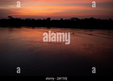 Bangladesch, Sundarban, 2021-10-30. Berichten Sie an Bord von Rubayath und Elisabeths Boot auf den Sundarbans, einer Region aus unzähligen Waffen und Kanälen Stockfoto