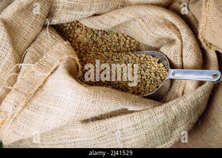 Grüner, ungerösteter Kaffee liegt in Sackleinen. In den Tüten befindet sich eine Schaufel, um Getreide zu streuen. Stockfoto