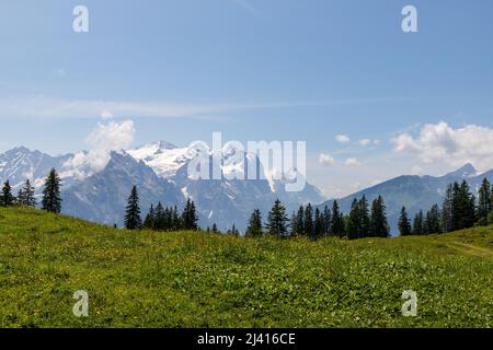 Wanderung in Meiringen mit Blick auf die Schweizer Alpen, Sommer Stockfoto