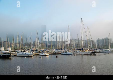 Segelboot im kleinen Hafen von Buceo in Montevideo, Uruguay Stockfoto