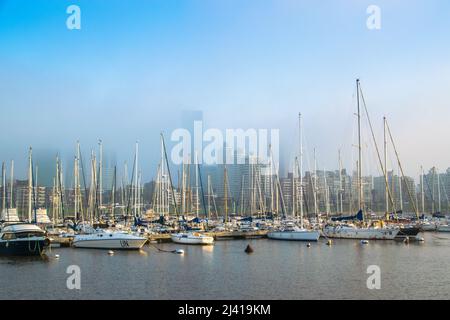 Segelboot im kleinen Hafen von Buceo in Montevideo, Uruguay Stockfoto