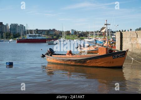 Segelboot im kleinen Hafen von Buceo in Montevideo, Uruguay Stockfoto