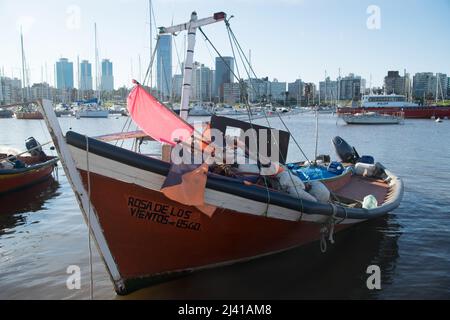 Segelboot im kleinen Hafen von Buceo in Montevideo, Uruguay Stockfoto