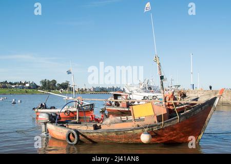 Segelboot im kleinen Hafen von Buceo in Montevideo, Uruguay Stockfoto