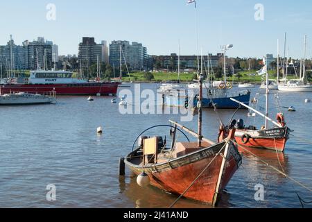 Segelboot im kleinen Hafen von Buceo in Montevideo, Uruguay Stockfoto