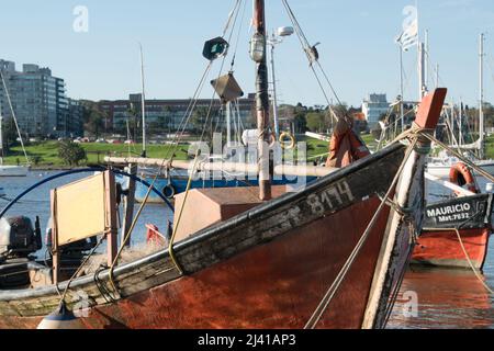 Segelboot im kleinen Hafen von Buceo in Montevideo, Uruguay Stockfoto