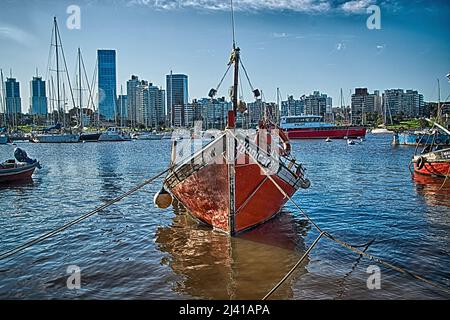 Segelboot im kleinen Hafen von Buceo in Montevideo, Uruguay Stockfoto