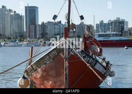 Segelboot im kleinen Hafen von Buceo in Montevideo, Uruguay Stockfoto