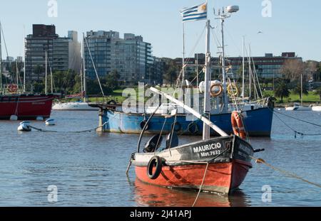 Segelboot im kleinen Hafen von Buceo in Montevideo, Uruguay Stockfoto