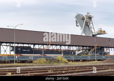 Schienenfahrzeuge und ein Massenerz-Trägerschiff namens FPMC B108, das am Port Waratah Coal Terminal in Carrington, Newcastle, New South Wales, Australien, festgemacht wurde Stockfoto