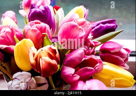 Bunte Tulpenbüschel; Bunter Tulpenstrauß Stockfoto