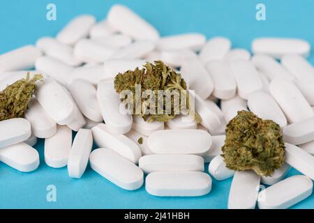 CBD-Cannabisblütenknospen auf Haufen weißer Pillen auf blauem Hintergrund Stockfoto
