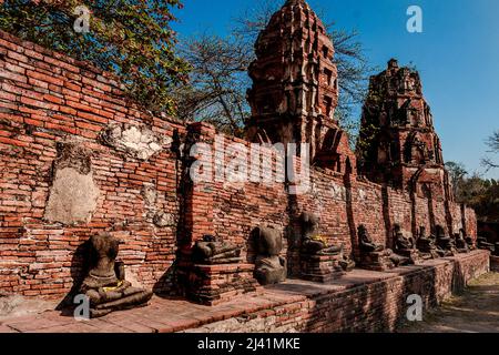 Zerstörte buddha-Statuen in Ruinen in Ayuthaya hinter dem Buddha-Kopf im Baum. Stockfoto