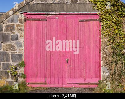 Garage aus walisischem Stein mit abgenutzten rosafarbenen Holztüren. Stockfoto