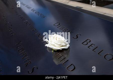 Weiße Rose im World Trade Center Memorial in Manhattan, New York City, USA Stockfoto