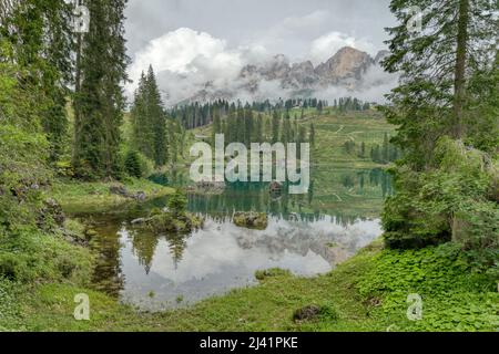 Typischer Alpenwald am Karersee mit dem Latemar-Gebirge im Hintergrund, bedeckt von Wolken. Dolomiten. Südtirol. Italien. Stockfoto