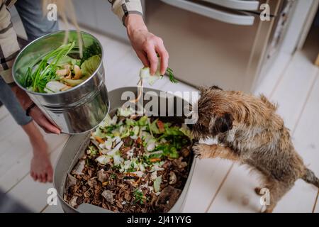 Frau wirft Gemüseschnitzel in einen Komposteimer in der Küche. Stockfoto