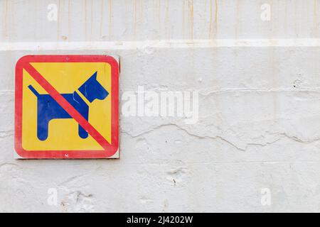 Zeichen, dass keine Hunde erlaubt sind, Hunde an einer weißen Wand verboten. Stockfoto